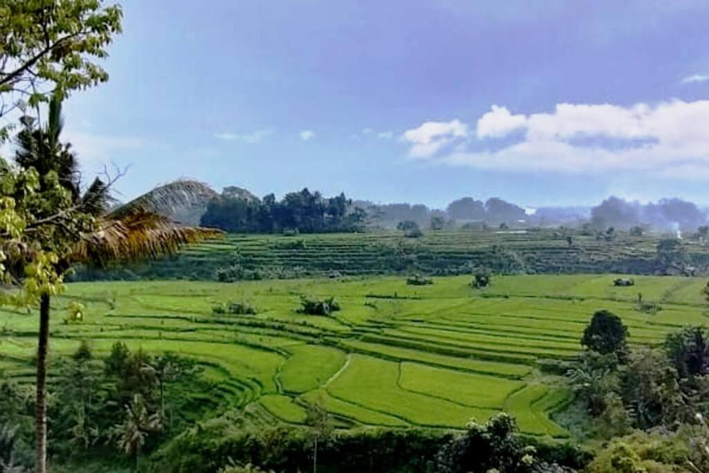 Magic Hills Bali - Magical Eco-Luxury Lodge 셀랏 외부 사진